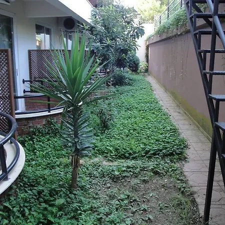 Feronia Hills